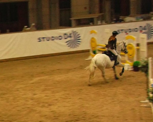 Reitturnier Prussendorf 2023