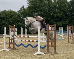 jumper Kleiner Theo (Connemara Pony, 2011, from Elmore James)