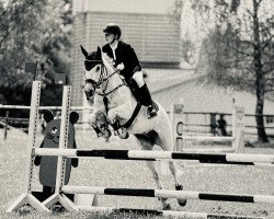 jumper Atlantic New Dawn (Connemara Pony, 2011, from I Love You Melody)