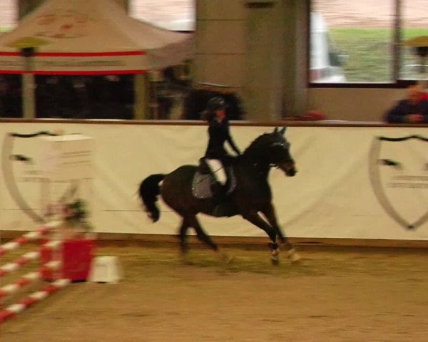 Reitturnier Prussendorf 2023