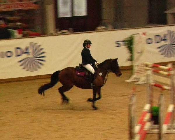 Reitturnier Prussendorf 2023
