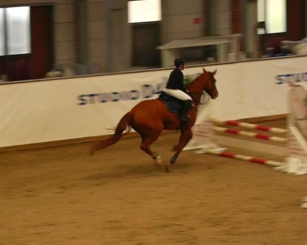 Reitturnier Prussendorf 2023