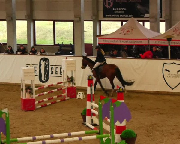 Reitturnier Prussendorf 2023