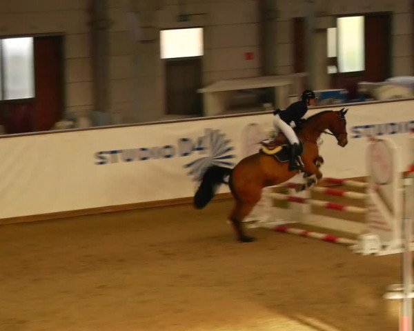 Reitturnier Prussendorf 2023