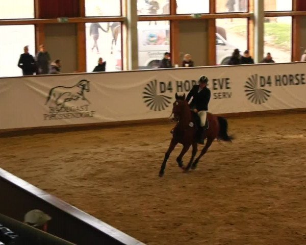 Reitturnier Prussendorf 2023