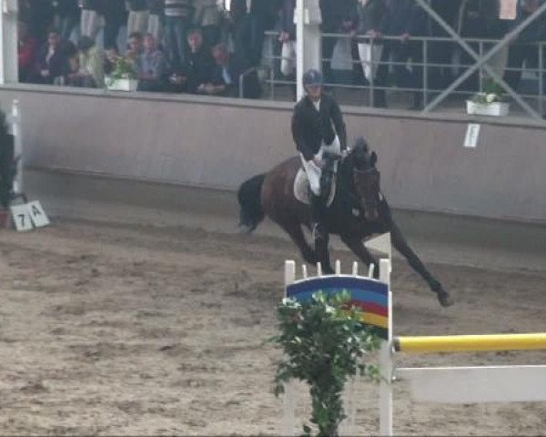 Alt Marl 2011