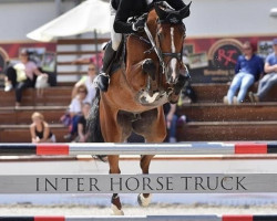jumper Kanaan (Lusitano, 2015, from Kannan)