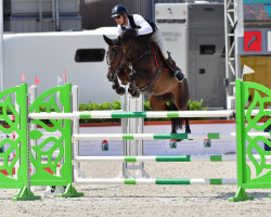 jumper Lagretta Hb (Hungarian Warmblood, 2014, from Lagarder)