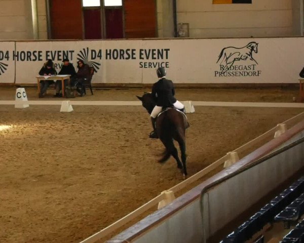 Reitturnier Prussendorf 2023