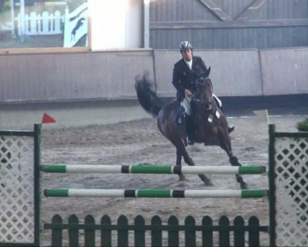 Jezdecký turnaj Alt Marl 2011
