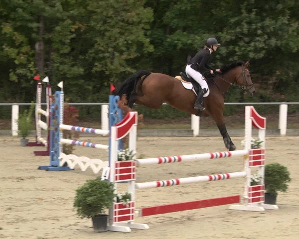 Reitturnier Forst 2021