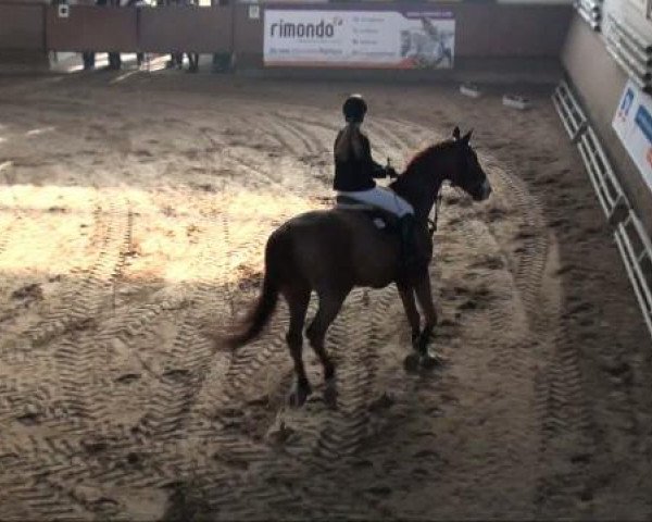 Alt Marl 2011