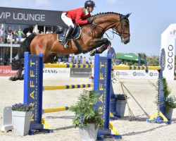 jumper Marko Polo (German Warmblood, 2006, from Caretello B)
