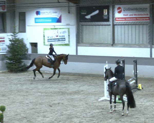 Reitturnier AZL Luhmühlen 2023