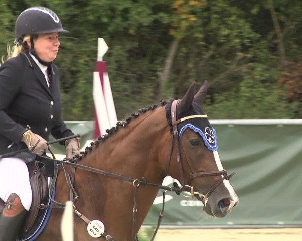 Reitturnier Forst 2021