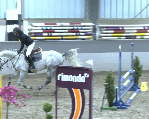 Reitturnier AZL Luhmühlen 2023