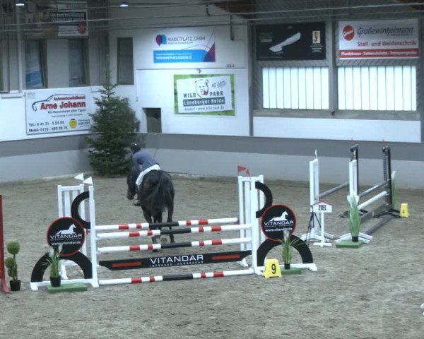 Reitturnier AZL Luhmühlen 2023