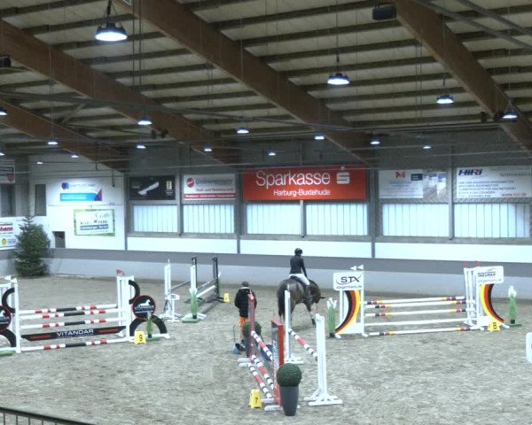 Reitturnier AZL Luhmühlen 2023