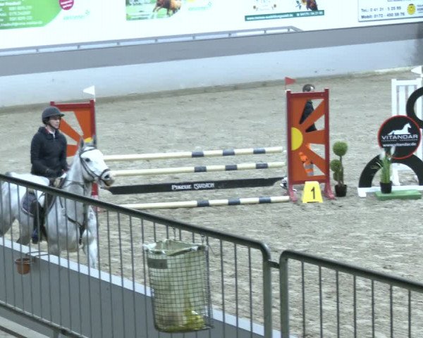 Reitturnier AZL Luhmühlen 2023