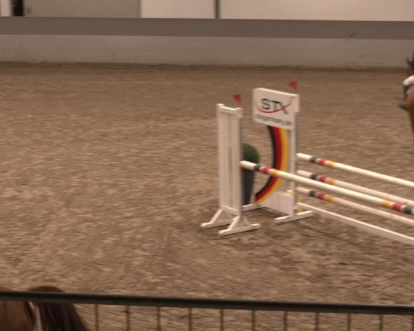 Reitturnier AZL Luhmühlen 2023