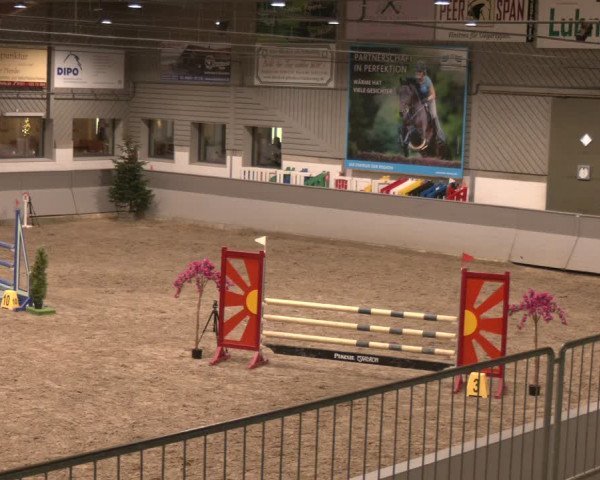Reitturnier AZL Luhmühlen 2023