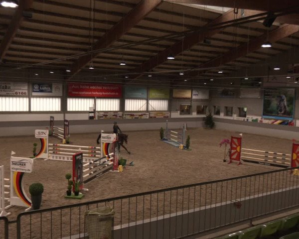 Reitturnier AZL Luhmühlen 2023