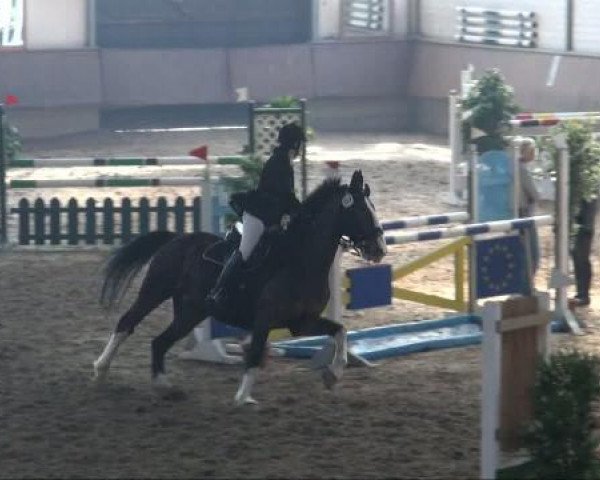 Alt Marl 2011