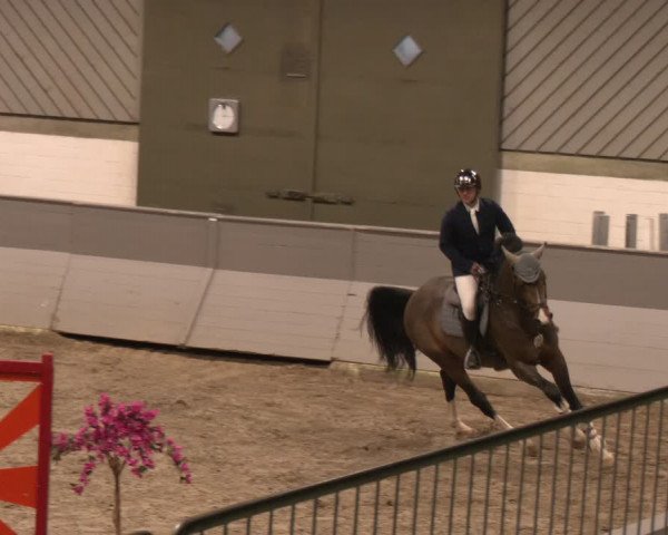 Reitturnier AZL Luhmühlen 2023