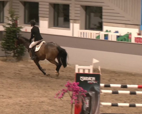 Reitturnier AZL Luhmühlen 2023