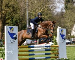 jumper Village Girl (Hanoverian, 2014, from Viscount 22)