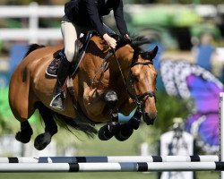 Springpferd Dior Z (Zangersheide Reitpferd, 2013, von Diamant de Semilly)