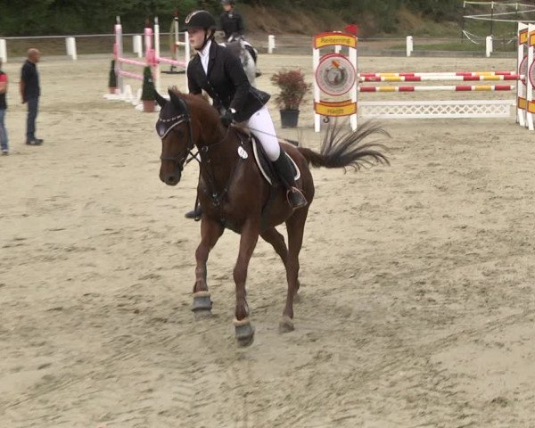Reitturnier Forst 2021