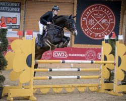 jumper Cara T (Westphalian, 2014, from Cornet Obolensky)