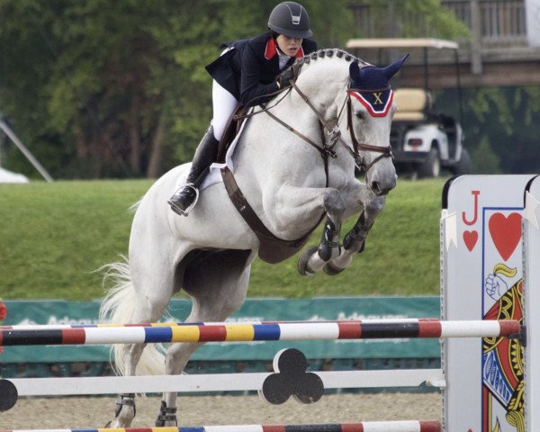 horse Waltraut (Holsteiner, 2006, from Carolus I)