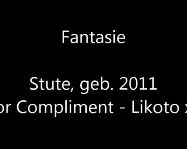 Video von Timanas Fantasie