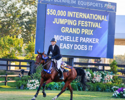 jumper Easy Does It (KWPN (Royal Dutch Sporthorse), 2009, from Casinos)