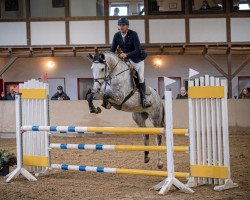 broodmare Hillary (Westphalian, 2017, from HICKSTEAD WHITE)