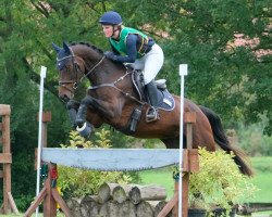 jumper Jezebel 4 (Hanoverian, 2013, from Glock's Johnson Tn)