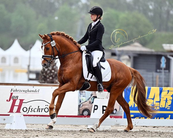 Anna Wegmann