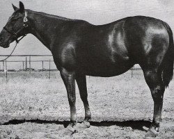 broodmare Alouette (Quarter Horse, 1942, from Master Boss xx)