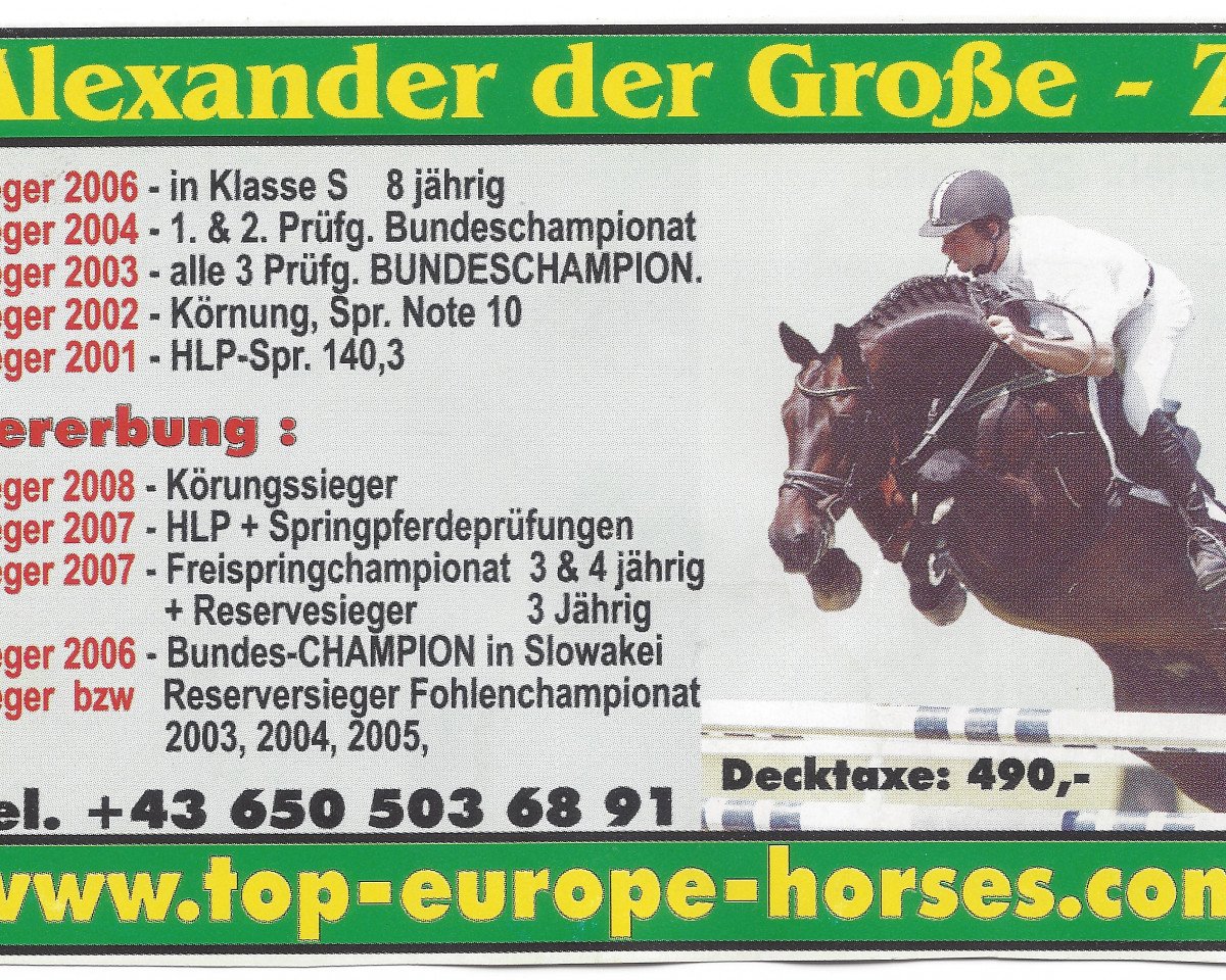 Deckhengst Alexander der Grosse Z (Österreichisches Warmblut, 1998, von Alexis Z)