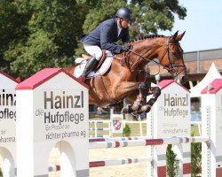jumper Aphrodite by Etl (Austrian Warmblood, 2009, from Alexander der Grosse Z)