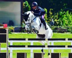jumper HOLLY DEL RILATE (Holsteiner, 2015, from Verdi)