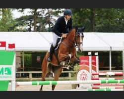 Springpferd Ottilie 15 (Westfale, 2019, von Ogano Sitte)