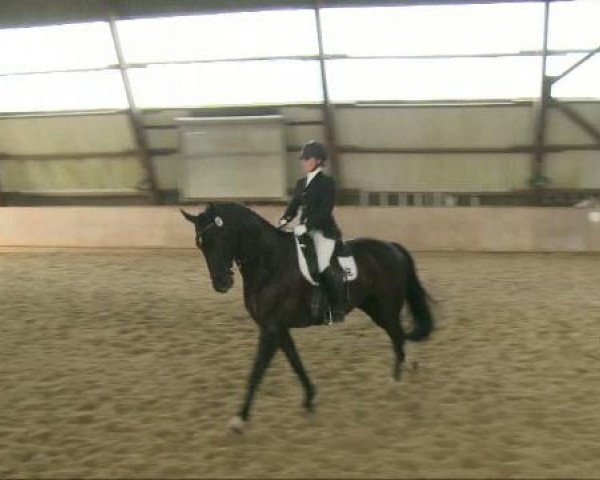 Dorsten 2011