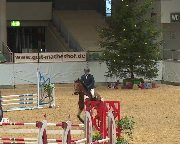 Reitturnier Kreuth/Opf. 2023