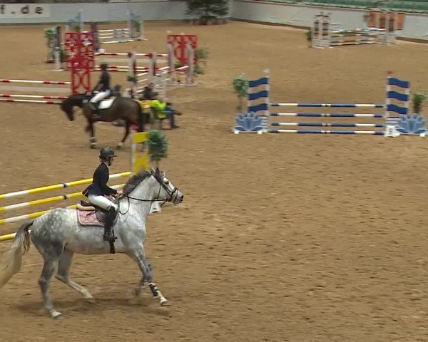 Reitturnier Kreuth/Opf. 2023