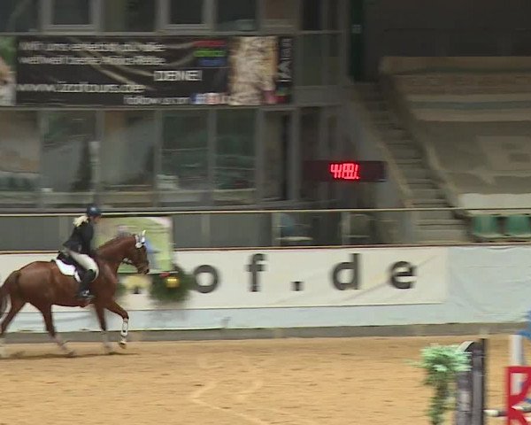 Reitturnier Kreuth/Opf. 2023