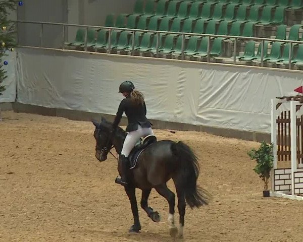 Reitturnier Kreuth/Opf. 2023