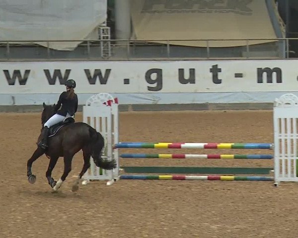 Reitturnier Kreuth/Opf. 2023